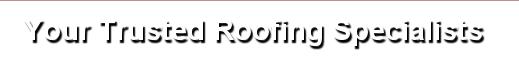 Roofing Specialists | Roofing Contractor | Residential Roofing | Berrien County | Southwestern Michigan